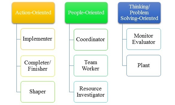 Team Role Model | Pinsoftek.com Custom Academic Help